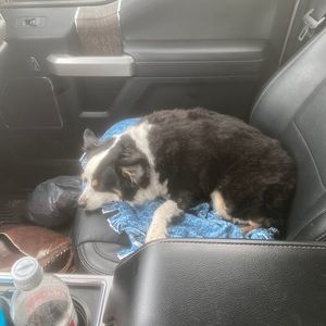 Meet your Posher, Brittanee